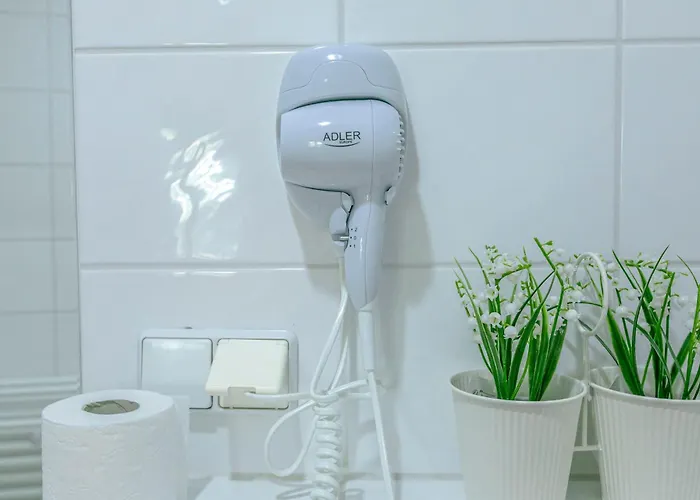 Dansar Guest house 3*